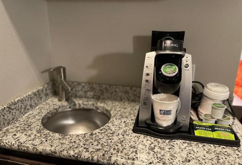 장애인을 위한 킹사이즈 침대 스탠다드 룸, Holiday Inn Express & Suites Gonzales By Ihg