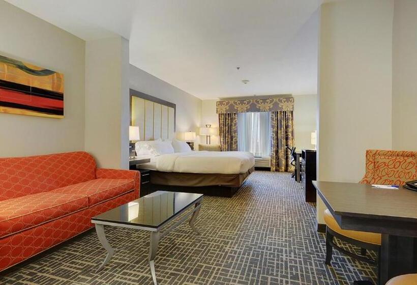 스위트 킹사이즈 침대, Holiday Inn Express & Suites Gonzales By Ihg