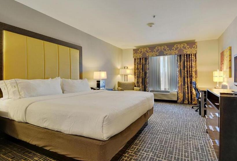 스탠다드 룸 킹사이즈 침대, Holiday Inn Express & Suites Gonzales By Ihg