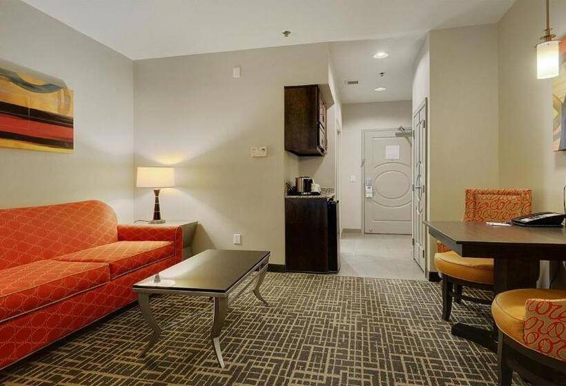 스탠다드 룸, Holiday Inn Express & Suites Gonzales By Ihg