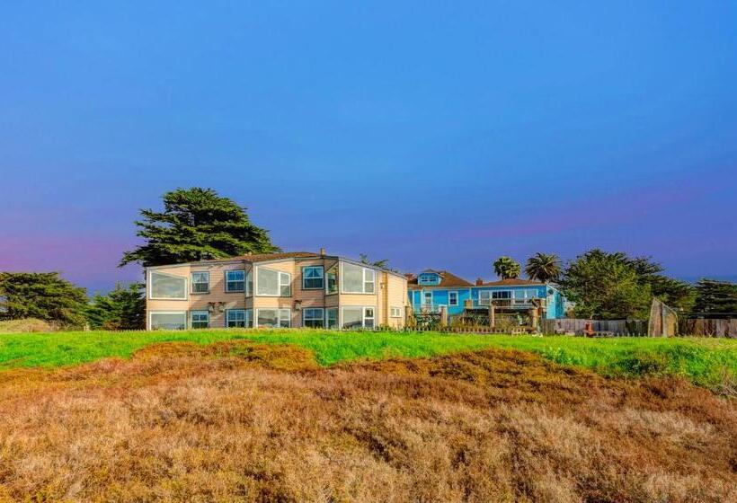 수피리어 룸 강 전망, Captain's Inn At Moss Landing