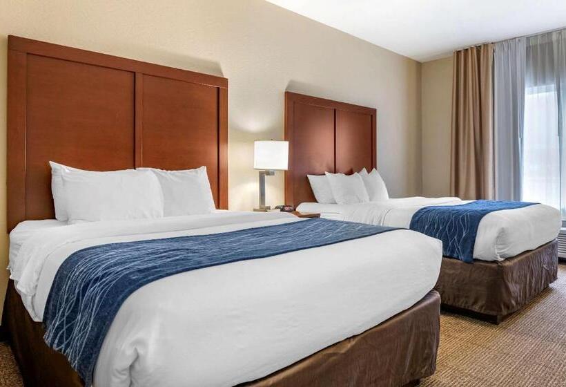 Номер Стандарт, Comfort Inn & Suites Northern Kentucky
