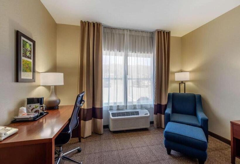 Стандартный Номер Кровать Кинг, Comfort Inn & Suites Northern Kentucky