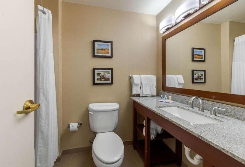 Люкс, Comfort Inn & Suites Northern Kentucky