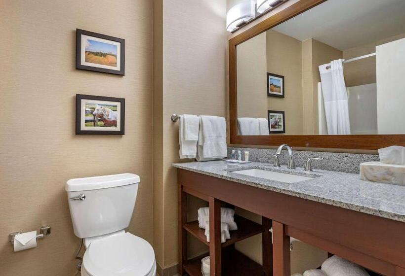 Люкс Кровать Кинг, Comfort Inn & Suites Northern Kentucky