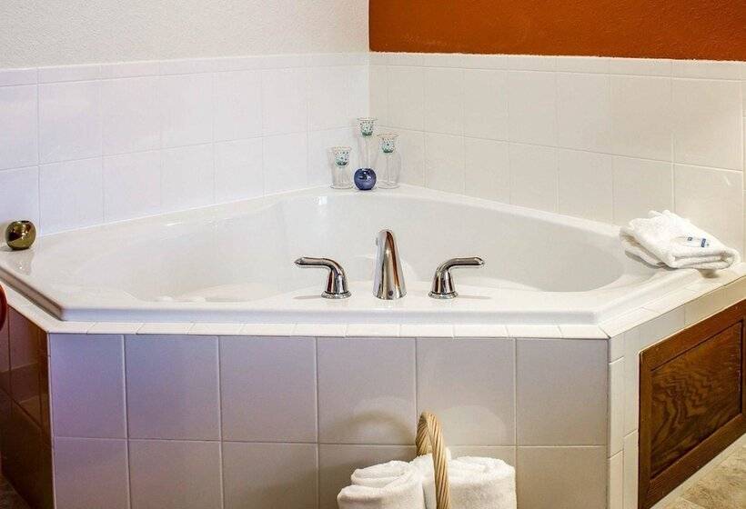 Люкс, Rodeway Inn Milford