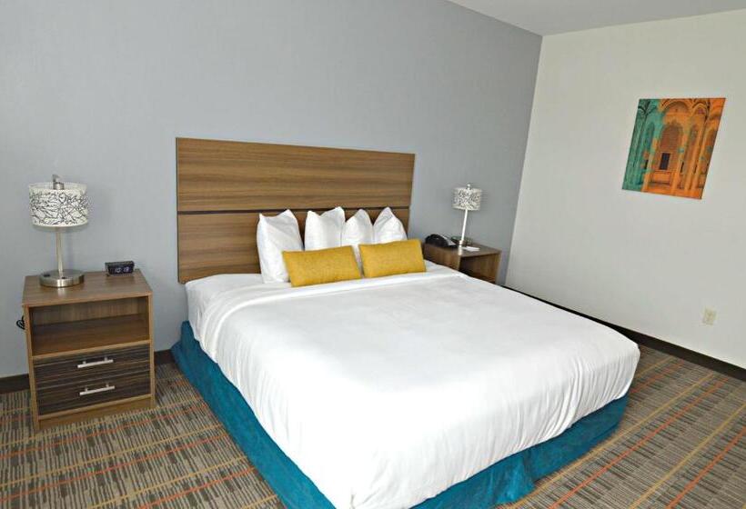 Студио Стандарт Кровать Кинг, Best Western Ingleside Inn & Suites