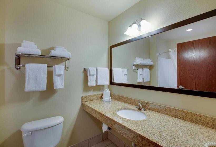 Стандартный Номер Кровать Кинг, Cobblestone Inn & Suites  Clintonville