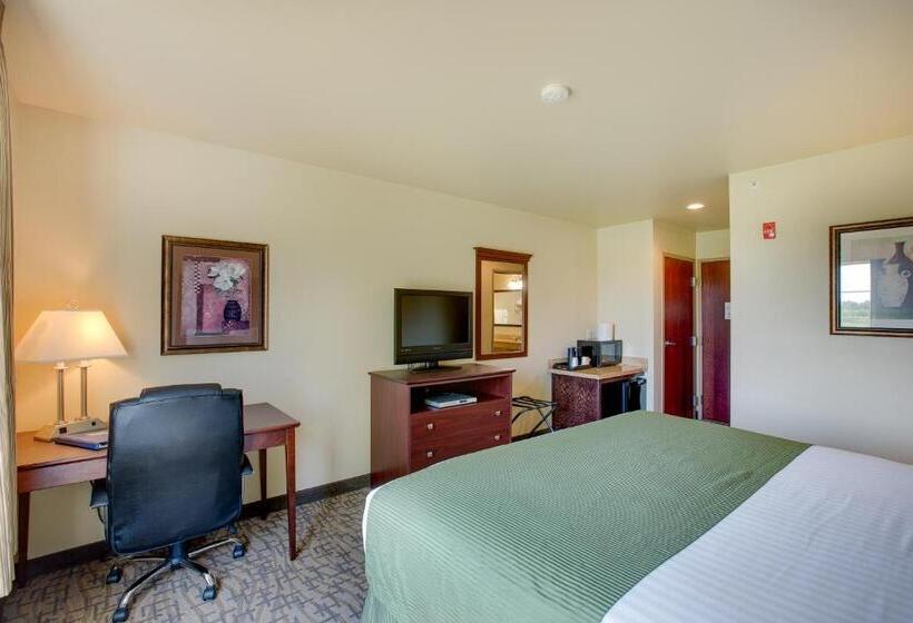 Стандартный Номер Кровать Кинг, Cobblestone Inn & Suites  Clintonville