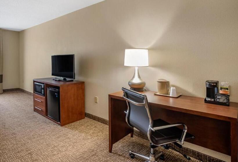 Стандартный Номер Кровать Кинг, Comfort Inn & Suites Cambridge