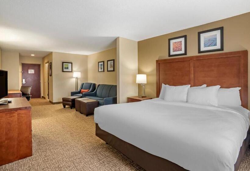Люкс Кровать Кинг, Comfort Inn & Suites Cambridge