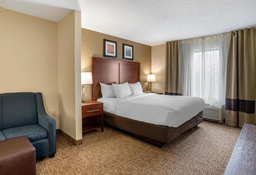 Номер Стандарт Кровать Кинг Адаптированный для Инвалидов, Comfort Inn & Suites Cambridge