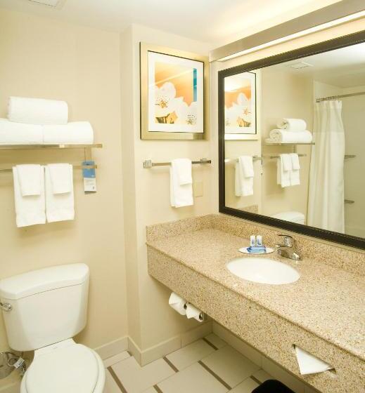 Номер Стандарт, Fairfield Inn & Suites By Marriott Chesapeake Suffolk