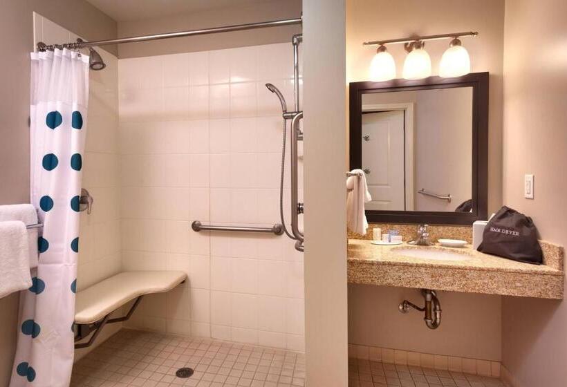 标准工作室, Towneplace Suites Boise West/meridian