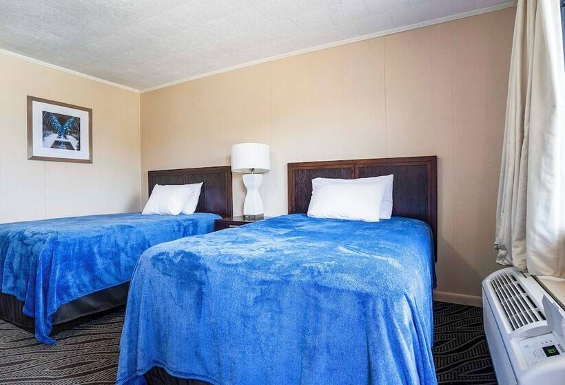Номер Стандарт, OYO Hotel Opp AL, Floral Hwy