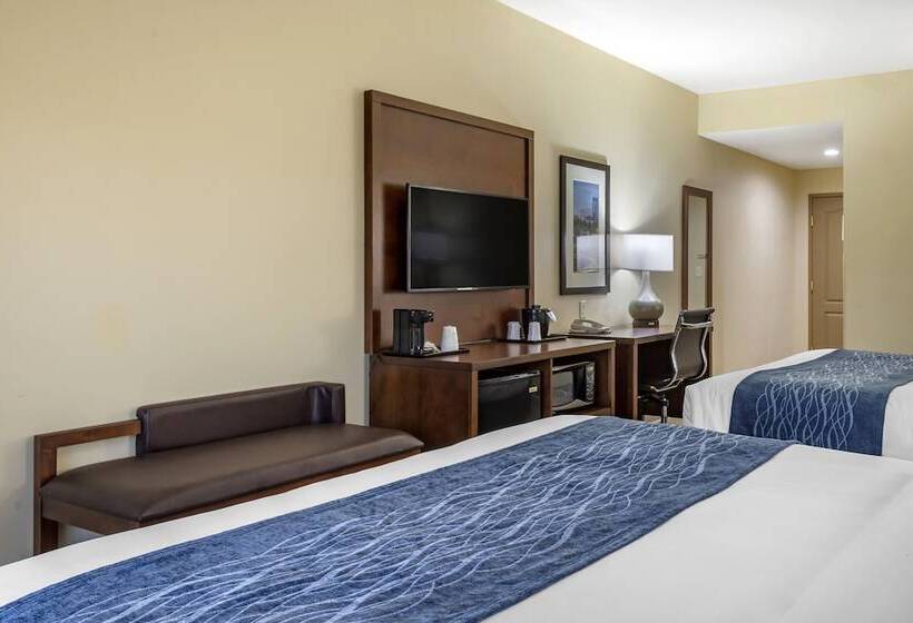 스탠다드 룸 더블 침대 2개, Comfort Inn & Suites High Point  Archdale