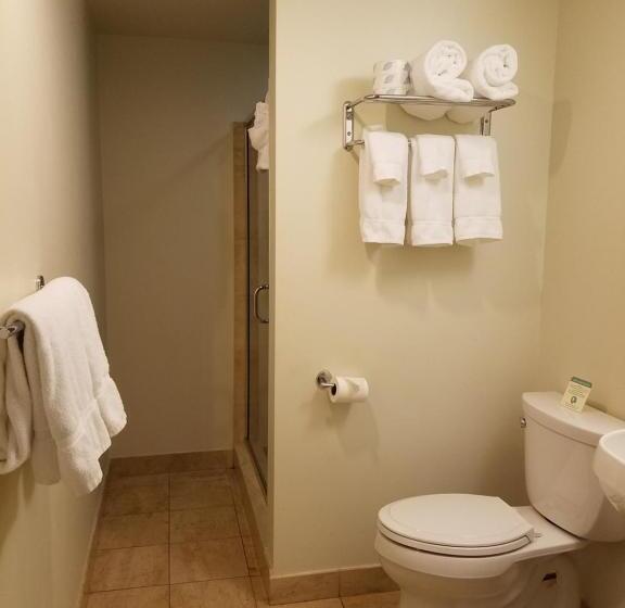 Люкс, Grand Eastonian Hotel & Suites Easton