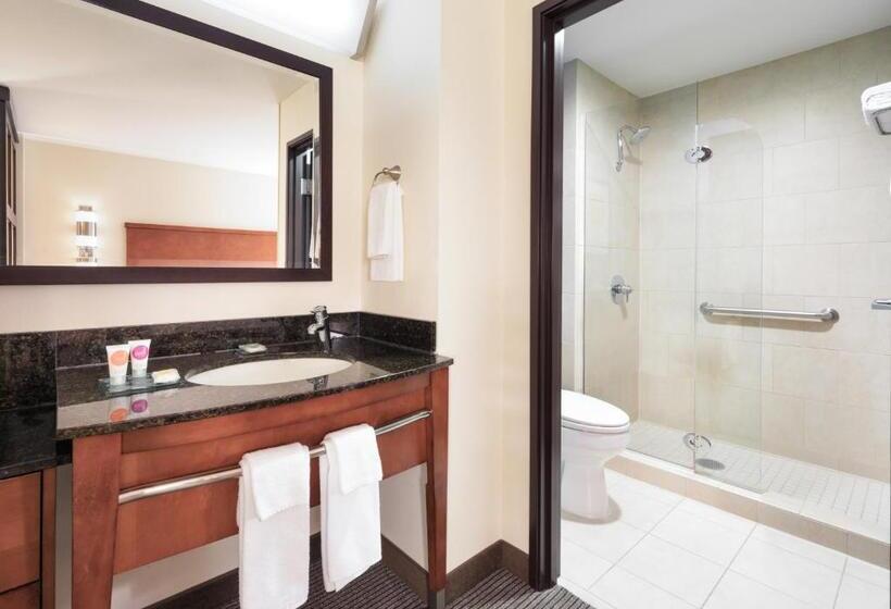 Стандартный Номер Кровать Кинг, Hyatt Place South Bend/mishawaka