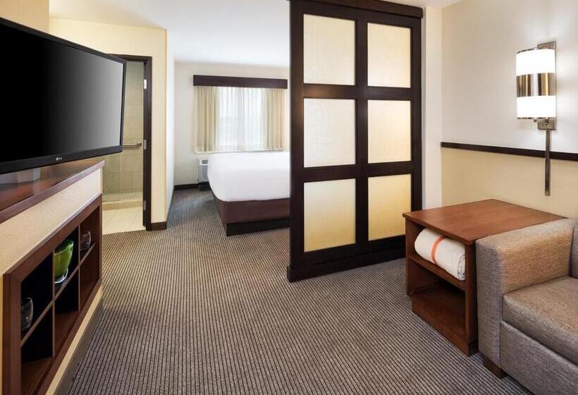 Стандартный Номер Кровать Кинг, Hyatt Place South Bend/mishawaka