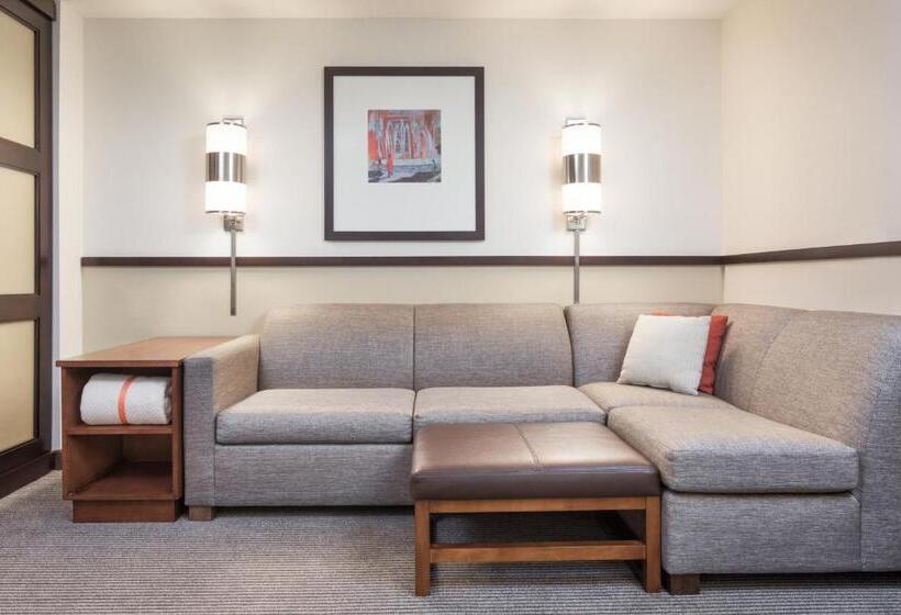 Номер Стандарт Кровать Кинг Адаптированный для Инвалидов, Hyatt Place South Bend/mishawaka
