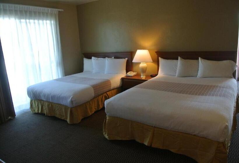 Номер Стандарт, Vino Inn & Suites
