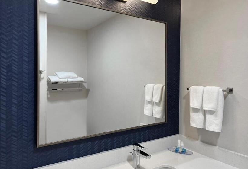 Номер Стандарт Кровать Кинг Адаптированный для Инвалидов, Fairfield Inn & Suites By Marriott Rogers
