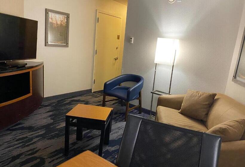 Люкс Кровать Кинг, Fairfield Inn & Suites By Marriott Texarkana