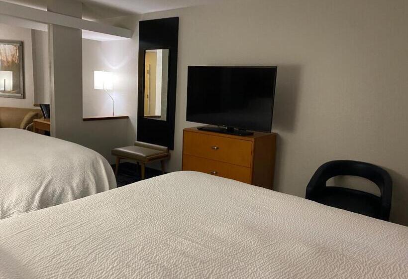Люкс, Fairfield Inn & Suites By Marriott Texarkana