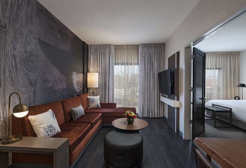 Люкс Повышенной Комфортности, Hyatt Centric The Woodlands