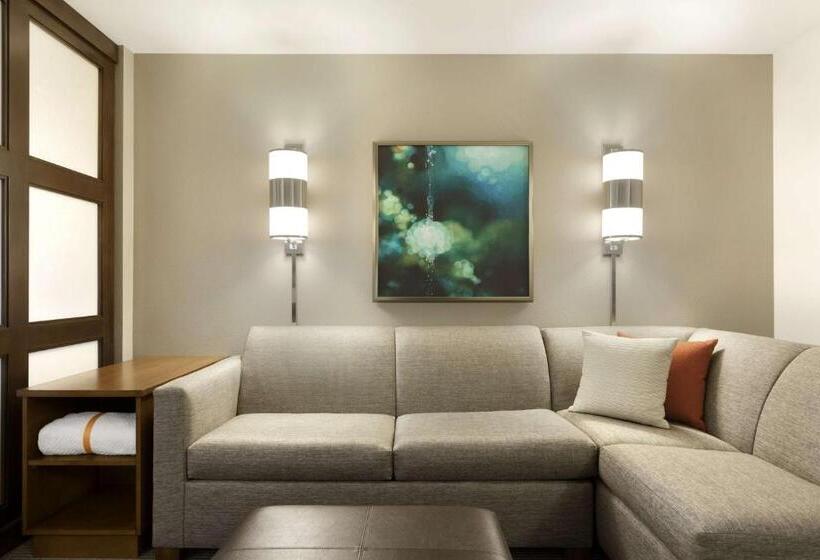 高级寓所标准房间, Hyatt Place Portland Airport/cascade Station
