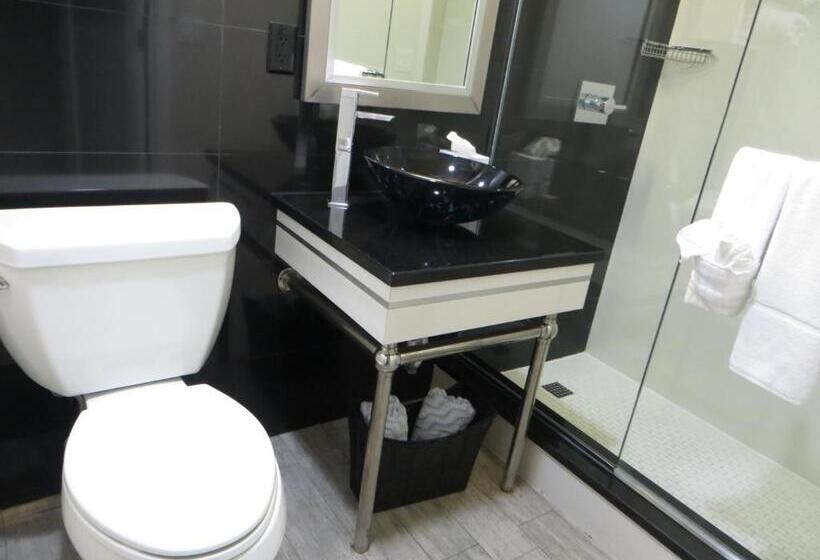 Люкс с Террасой, Lotus Boutique Inn And Suites