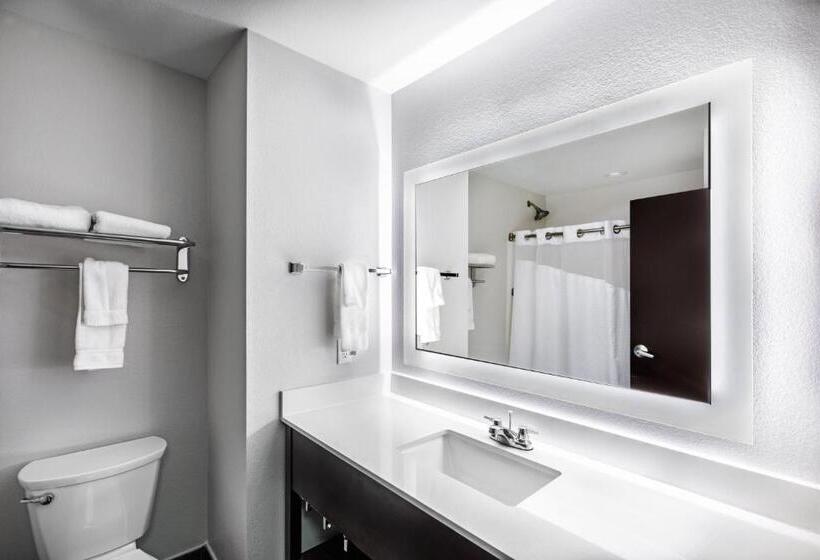 Стандартный Номер Кровать Кинг, Holiday Inn Express & Suites Austin Nw   Lakeway By Ihg