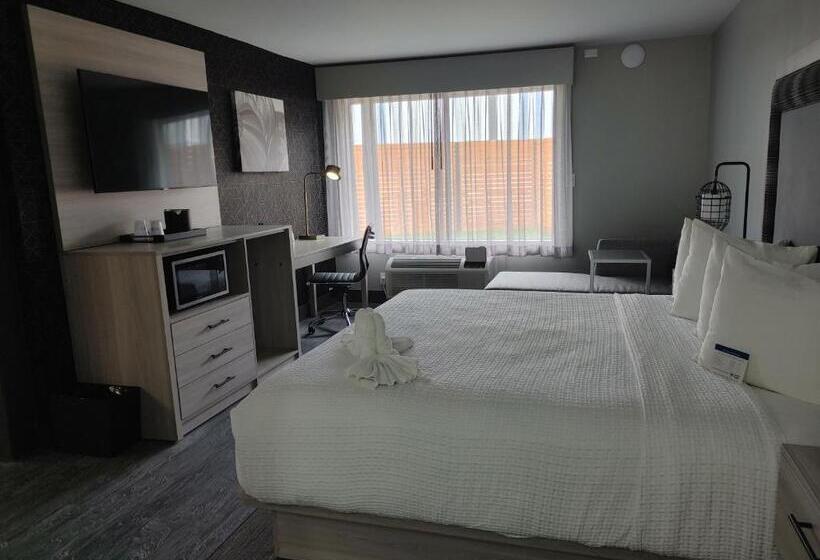 Suite King Bed, Aiden By Best Western South Reno