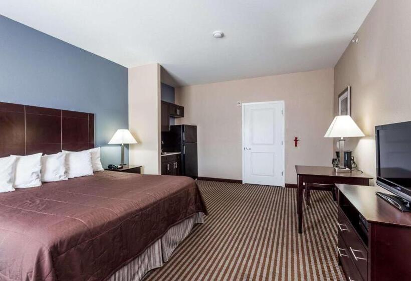 Люкс, Atria Inn & Suites