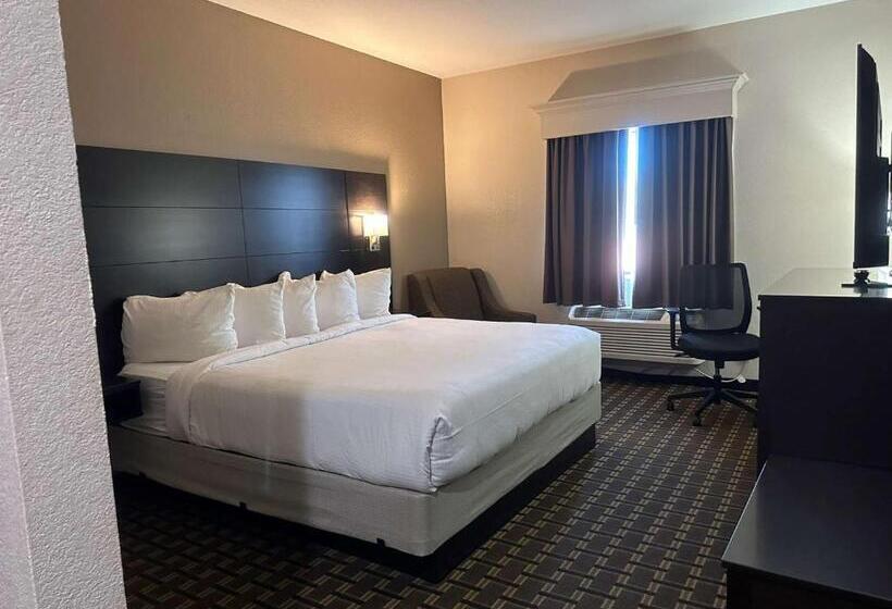 Номер Стандарт Кровать Кинг Адаптированный для Инвалидов, Best Western Halito Inn