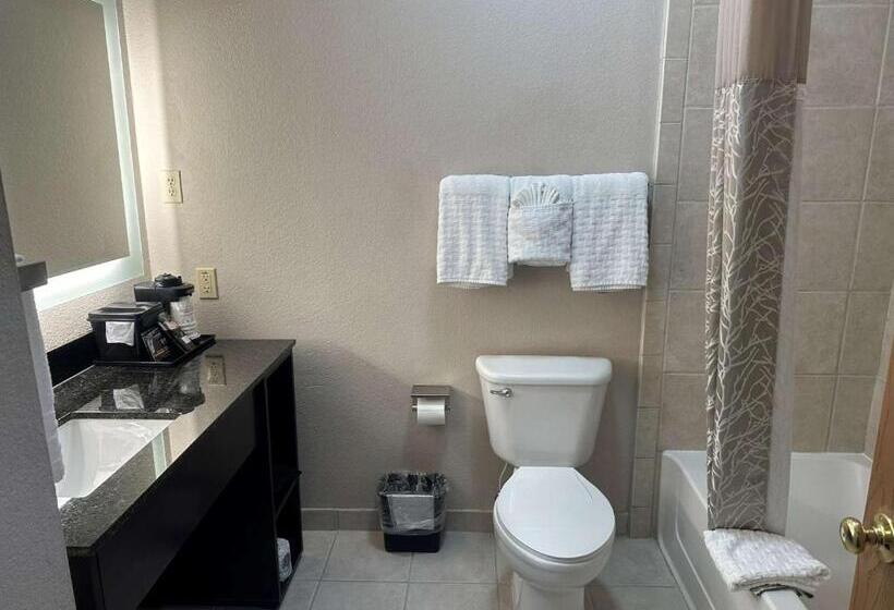 Стандартный Номер Кровать Кинг, Best Western Halito Inn