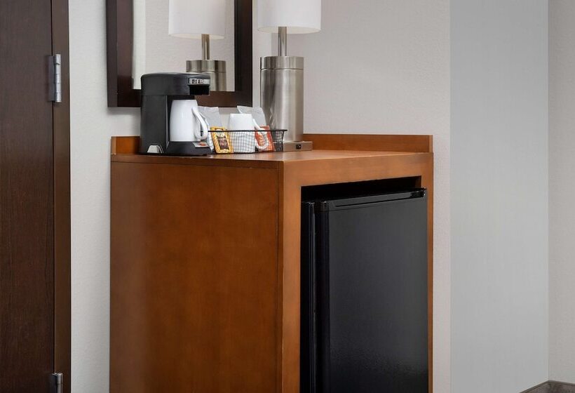 Номер Стандарт 2 Двуспальные Кровати, Hyatt Place Sugar Land