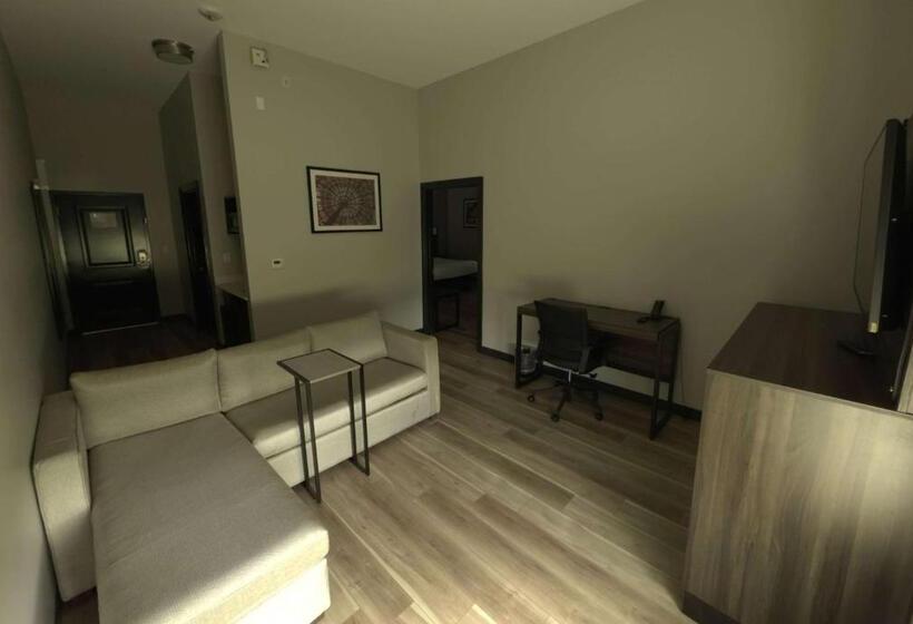 프레지덴셜 스위트, La Quinta By Wyndham Gonzales La