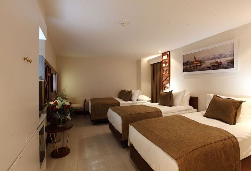 اتاق سوپریور, Victory Hotel & Spa Istanbul