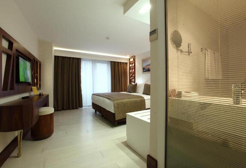 اتاق استاندارد, Victory Hotel & Spa Istanbul