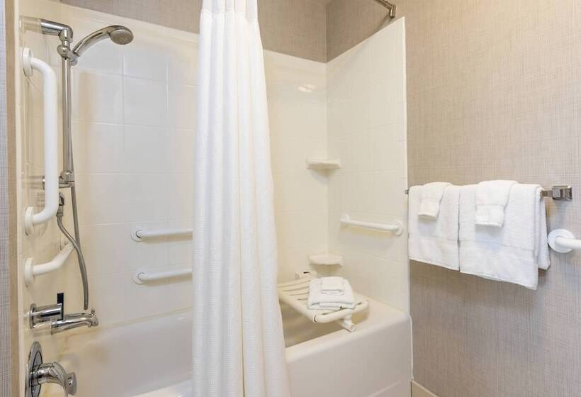 Люкс, Residence Inn By Marriott Midland