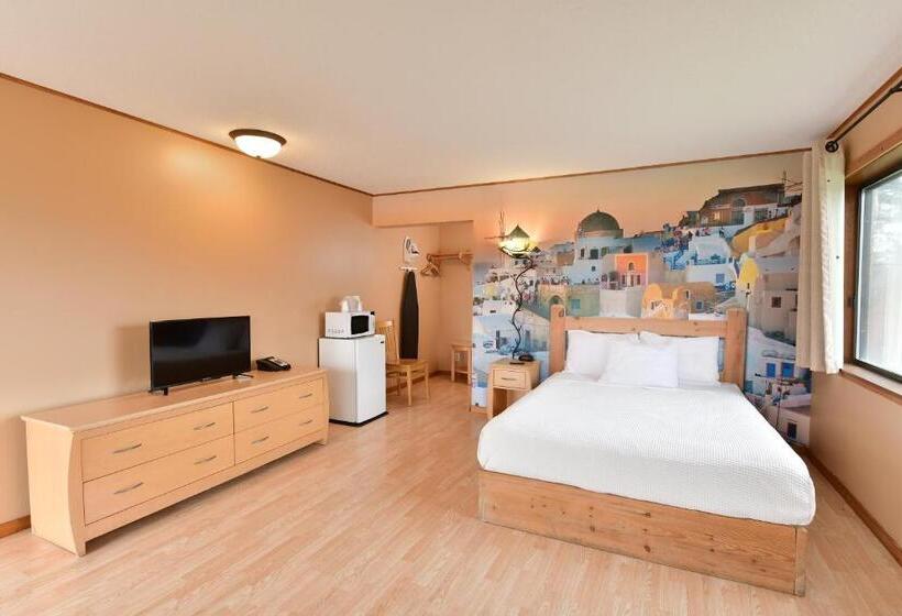 Номер Стандарт, Mt. Olympus Water Park And Theme Park Resort