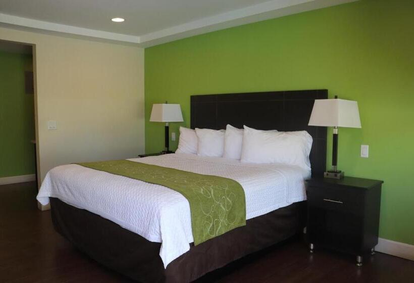 חדר סטנדרט עם מיטת קינג, Curtis Inn & Suites