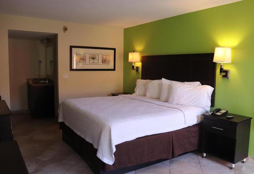 חדר אקונומי יחיד, Curtis Inn & Suites