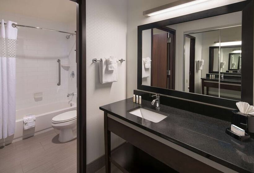 Студия Стандарт Двуспальная Кровать, Hampton Inn & Suites Denver Downtownconvention Center