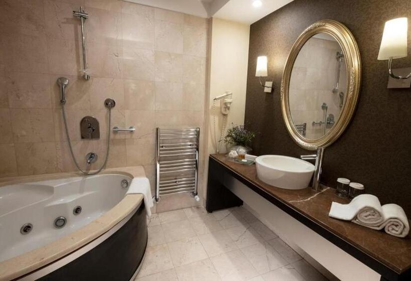Люкс, Agaoğlu My City Hotel Istanbul