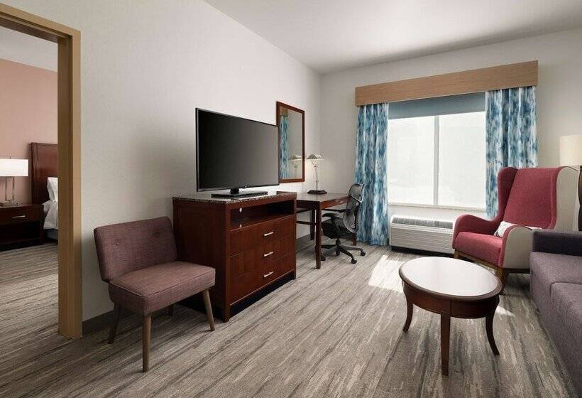 Номер Стандарт Адаптированный для Инвалидов, Hilton Garden Inn Ann Arbor