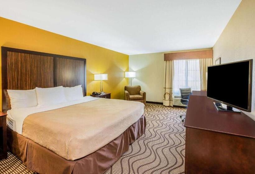 Номер Стандарт Кровать Кинг Адаптированный для Инвалидов, La Quinta Inn & Suites By Wyndham Floresville