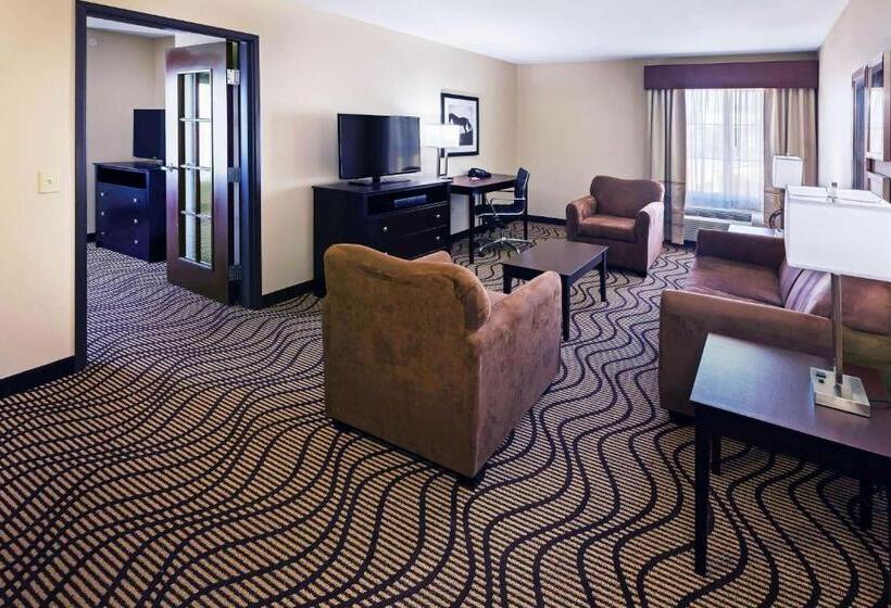 Люкс Адаптированный для Инвалидов, La Quinta Inn & Suites By Wyndham Floresville