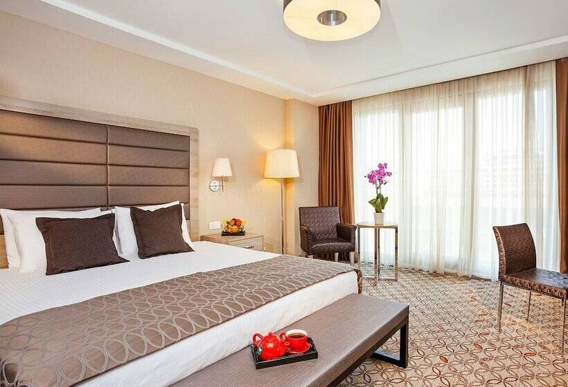 اتاق سوپریور, Nidya Hotel Galataport